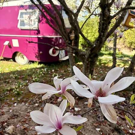 Saleve Glamping