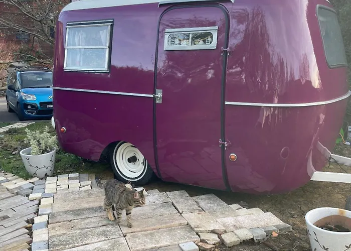 Saleve Glamping Campismo de Luxo