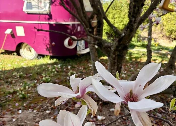 Saleve Glamping